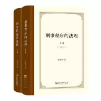 音像刑事程序的法理陈瑞华著
