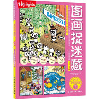 音像图画捉迷藏 2 2020彩图精华版美国童光萃集出版社