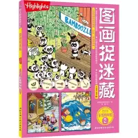 音像图画捉迷藏 2 2020彩图精华版美国童光萃集出版社