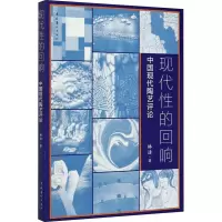音像现代的回响 中国现代陶艺评论林洁
