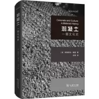 音像混凝土(一部文化史)(精)/建筑新视界(英)阿德里安·福蒂著