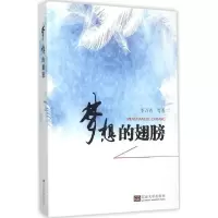 音像梦想的翅膀李万青 等 著