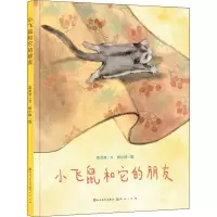 音像小飞鼠和它的朋友高洪波,杨小婷