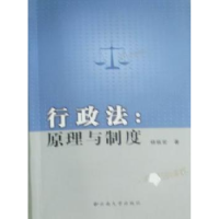 音像行政法:原理与制度杨临宏著