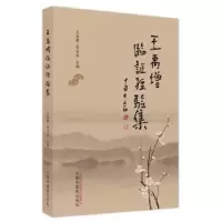 音像王禹增临经验集王禹增,侯岩珂主编