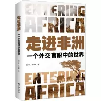 音像走进非洲 一个外交官眼中的世界田广凤,李春梅