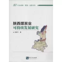 音像陕西煤炭业可持续发展研究袁显平 著