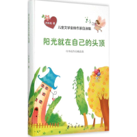 音像阳光就在自己的头顶许申高 著