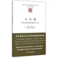 音像大分化(正在走向终结的新自由主义)/国际文化版图研究文库