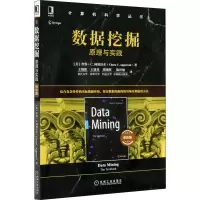 音像数据挖掘 原理与实践 进阶篇(美)查鲁·C.阿加沃尔