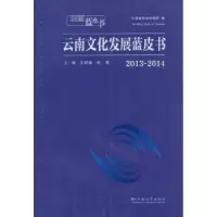 音像云南文化发展蓝皮书:2013-2014王亚南,刘荣主编