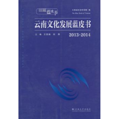 音像云南文化发展蓝皮书:2013-2014王亚南,刘荣主编