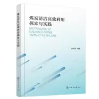 音像煤炭清洁高效利用探索与实践张文辉编著