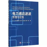 音像电力感应滤波原理与应用李勇 等 著