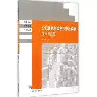 音像介孔硅材料吸附水中污染物技术与原理秦庆东 著