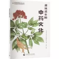 音像源远流长的文化高栋主编