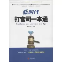 音像e时代打官司一本通孙军工 主编