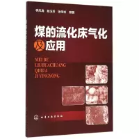 音像煤的流化床气化及应用编者:李风海//段玉玲//张传祥