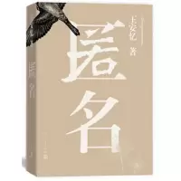 音像匿名王安忆