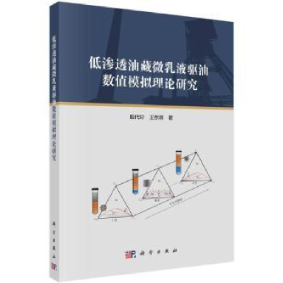 音像低渗透油藏微乳液驱油数值模拟理论研究殷代印,王东琪著