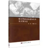 音像煤岩界面动态感知技术及识别方法张强,王海舰著