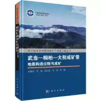 音像武当—桐柏—大别成矿带地质构造过程与成矿彭练红等著