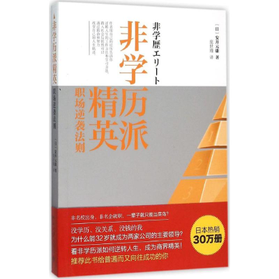 音像非派精英(日)安井元康 著;庞世瑾 译