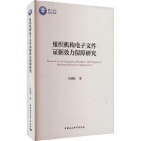 音像组织机构文件据效力保障研究许晓彤著
