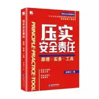 音像压实安全责任——原理·实务·工具祁有红著