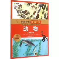 音像英国少儿插画百科英国奥菲斯公司 著;金熙雯 译