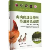 音像禽病病理诊断与防治彩色图谱王新华,逯艳云,王秋霞主编