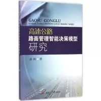 音像高速公路路面管理智能决策模型研究谢峰 著