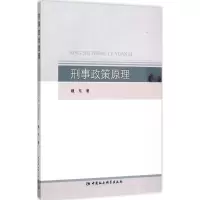 音像刑事政策原理魏东 著