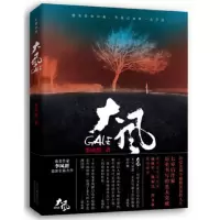 音像大风李凤群