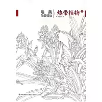 音像热带植物(3)/唯美白描精选绘画:周莲荣
