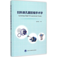 音像妇科单孔腹腔镜手术学孙大为 主编