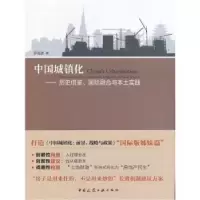 音像中国城镇化:历史借鉴、国际融合与本土实践罗高波著