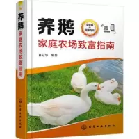 音像养鹅家庭农场致富指南肖冠华编著