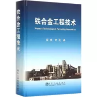 音像铁合金工程技术戴维,舒莉 著