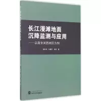 音像长江漫滩地面沉降监测与应用储征伟,岳建平,张涛 著