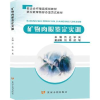 音像矿物肉眼鉴定实训吕达,岚主编