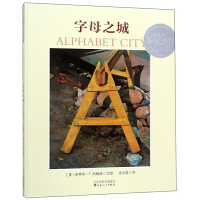 音像字母之城(美)史蒂芬·T.约翰逊(Stephen T.Johnson)