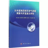 音像沁水盆地深部页岩气资源调查与开发潜力评价朱炎铭 等 著