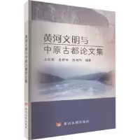 音像河文与中原古都集王彩琴,扈耕田,陈朝阳编著