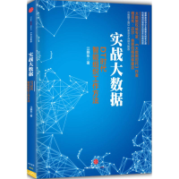 音像实战大数据(美)江晓东 著