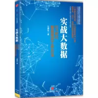 音像实战大数据(美)江晓东 著