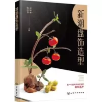 音像新潮盘饰造型李祥睿,陈洪华主编