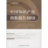 音像中知识权指数报告.2015王正志 主编