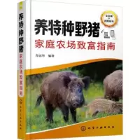 音像养特种野猪家庭农场致富指南肖冠华 编著