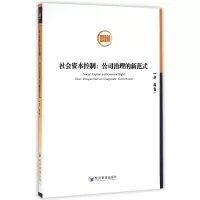 音像社会资本控制--公司治理的新范式赵晶